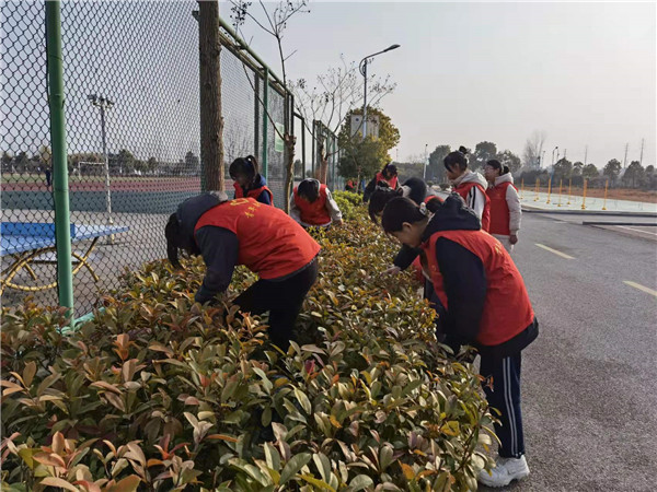 创卫生城市    建美丽校园(图3)