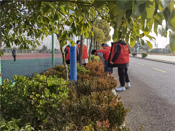 创卫生城市    建美丽校园(图6)