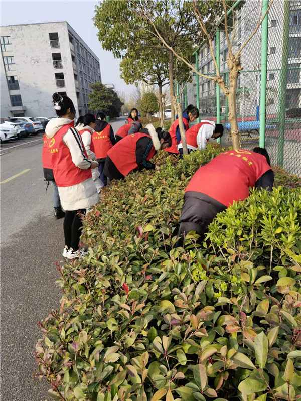 创卫生城市    建美丽校园(图8)