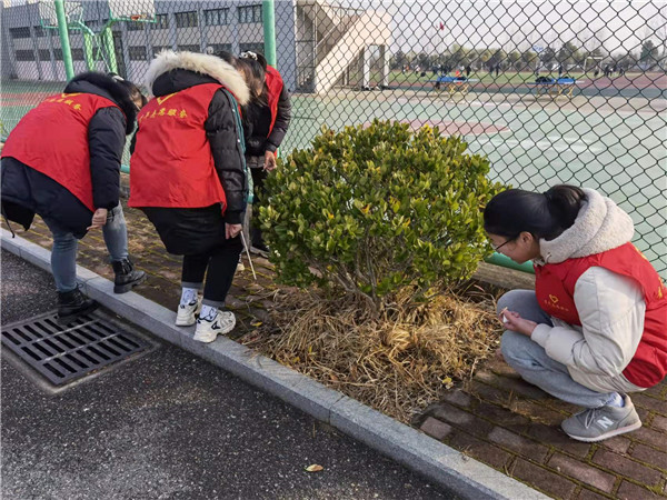 创卫生城市    建美丽校园(图7)